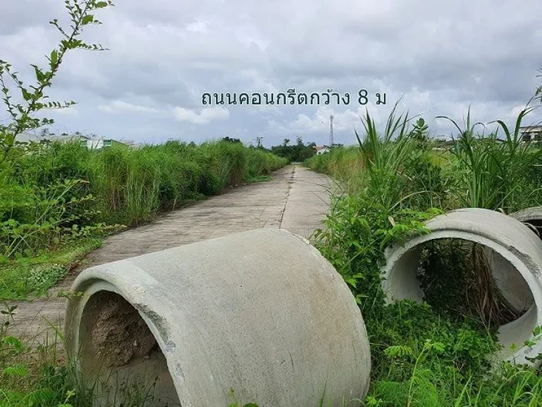 ขายที่9-3-63ไร่ ติดถนนหนองค้อ-สวนเสือ หนองขาม ศรีราชา