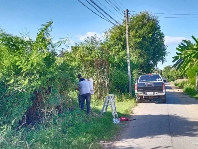 ขายที่ดินสวย กลางเมือง ตศาลาแดง อเมือง จอ่างทอง เนื้อที่ 111ตรว