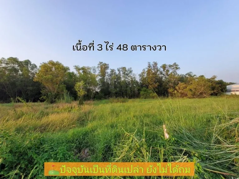 ขายต่ำกว่าราคาตลาด ที่ดินคลองสิบ 3 ไร่เศษ ติดถนนคอนกรีตสาธารณะไฟฟ้าประปา อหนองเสือ