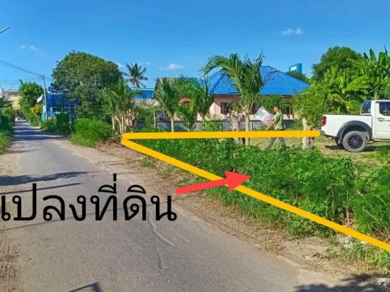 ขายที่ดินทำเลดี ทีดินสร้างบ้าน ตศาลาแดง อเมืองอ่างทอง 220 ตรว