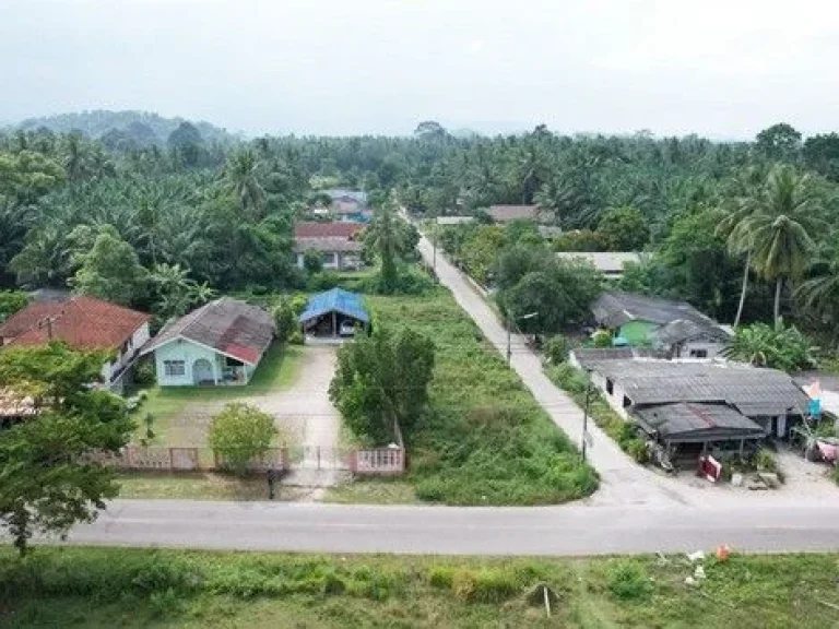 ขายที่ดินซอยพังพร้าว เจ้าของขายเอง อำเภอขนอม จังหวัดนครศรีธรรมราช