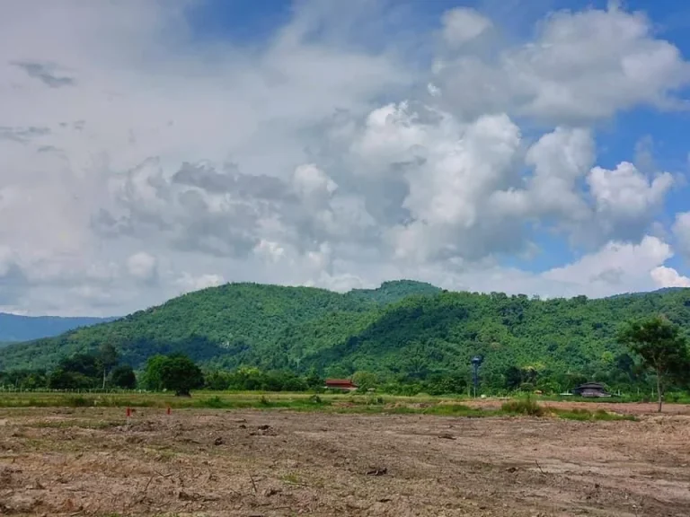 ขายที่ดินสำหรับคนรักเขา วิวธรรมชาติ เริ่มขนาด 1 ไร่ สด ผ่อน ได้ เขาเพิ่ม บ้านนา นครนายก