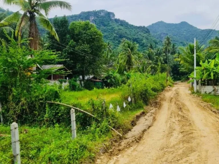 ขายที่ดินสวย วิวเขา ใกล้ชายหาดสามร้อยยอด มีเพื่อนบ้าน อยู่ในชุมชน สามร้อยยอด ประจวบฯ