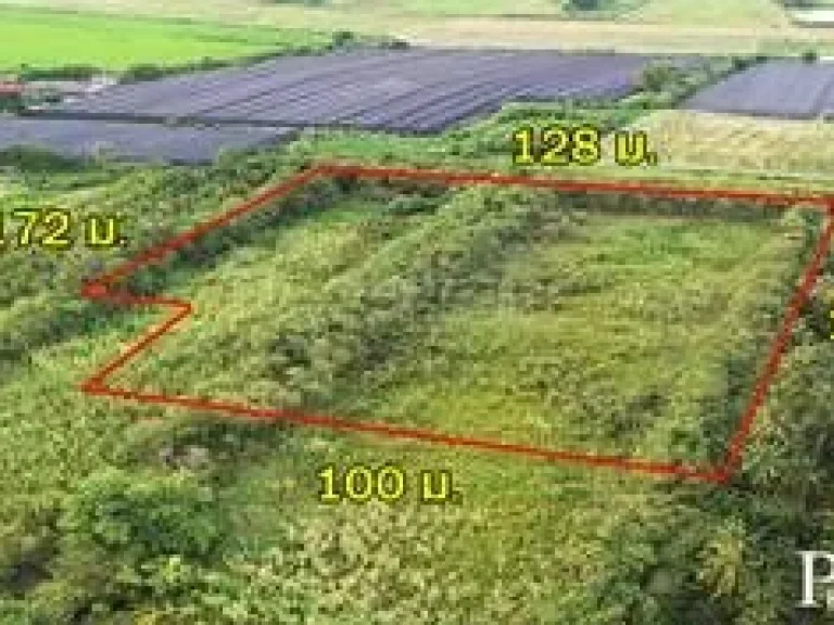ขายที่ 103ไร่ หน้ากว้าง 100ม ติด ถนนตัดใหม่ พรานนก - สาย 4 เหมาะ ทำโครงการหมู่บ้าน ใกล้สาย 4 เพียง 138 กม KK4618S