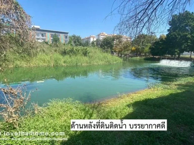 ขายที่ดิน มเมืองเอก โครงการ 2 ปทุมธานี ใกล้รถไฟฟ้า-สถานีหลักหก พื้นที่ 122 ตรว ที่ดินซอยนี้ดีกว่าโครงการอื่น เพราะมี รปภ