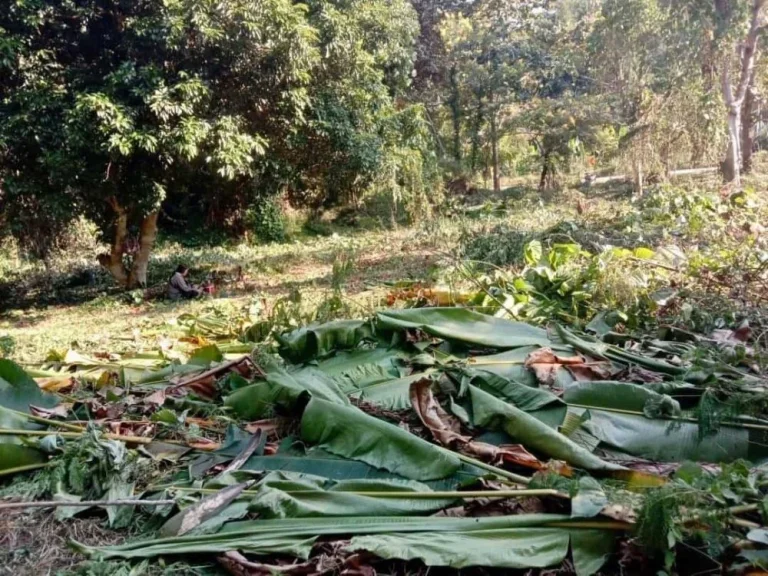 ขายที่ดินติดลำธาร ด้านหน้าติดถนนหลัก 348 ตรว อหางดง เชียงใหม่