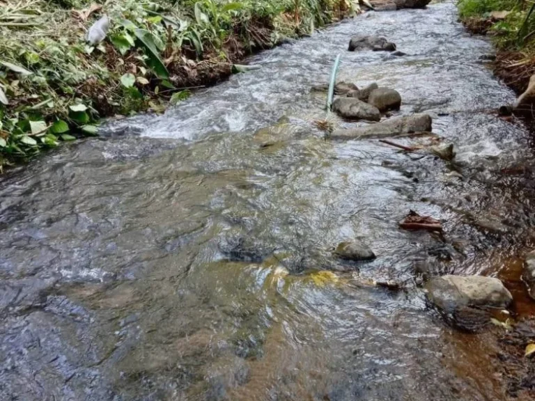 ขายที่ดินติดลำธาร ด้านหน้าติดถนนหลัก 348 ตรว อหางดง เชียงใหม่