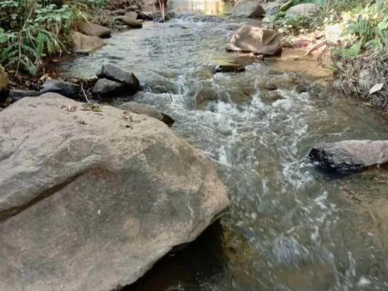 ขายที่ดินติดลำธาร ด้านหน้าติดถนนหลัก 348 ตรว อหางดง เชียงใหม่