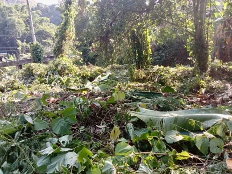 ขายที่ดินติดลำธาร ด้านหน้าติดถนนหลัก 348 ตรว อหางดง เชียงใหม่