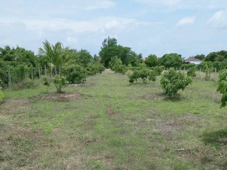 ขายที่สวนบ้านเชียงแสนติดถนนลาดยางบ้านหนองตองหางดงพร้อมโอน