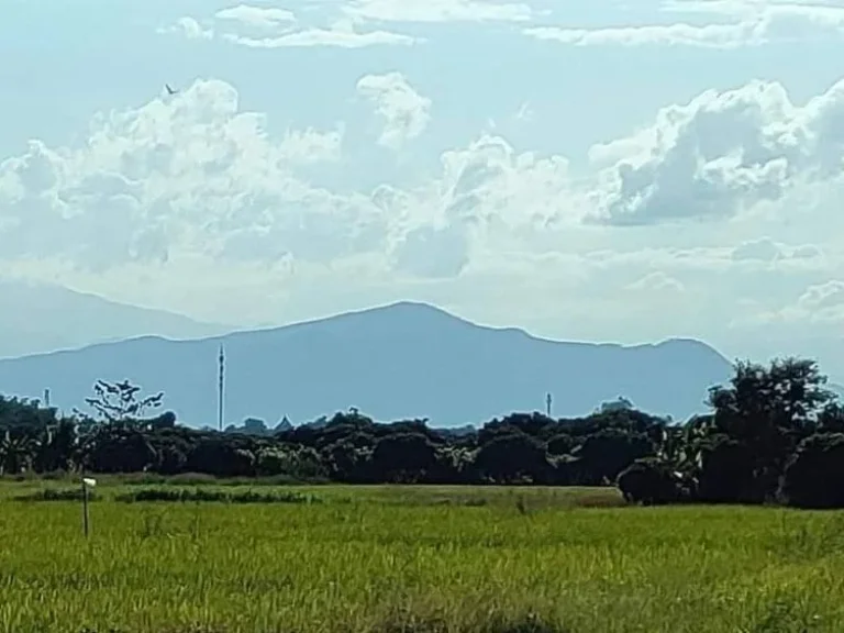 ขายที่นาติดถนนลาดยางวิวดอยสุเทพโฉนดพร้อมโอนราคาถูก