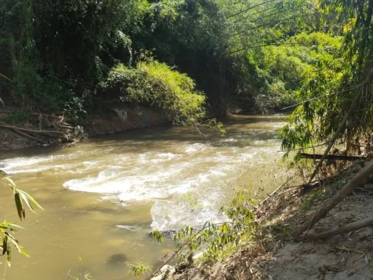 ขายที่ดินติดลำธารน้ำบ้านดอยแก้วจอมทองโฉนดพร้อมโอนราคาถูก