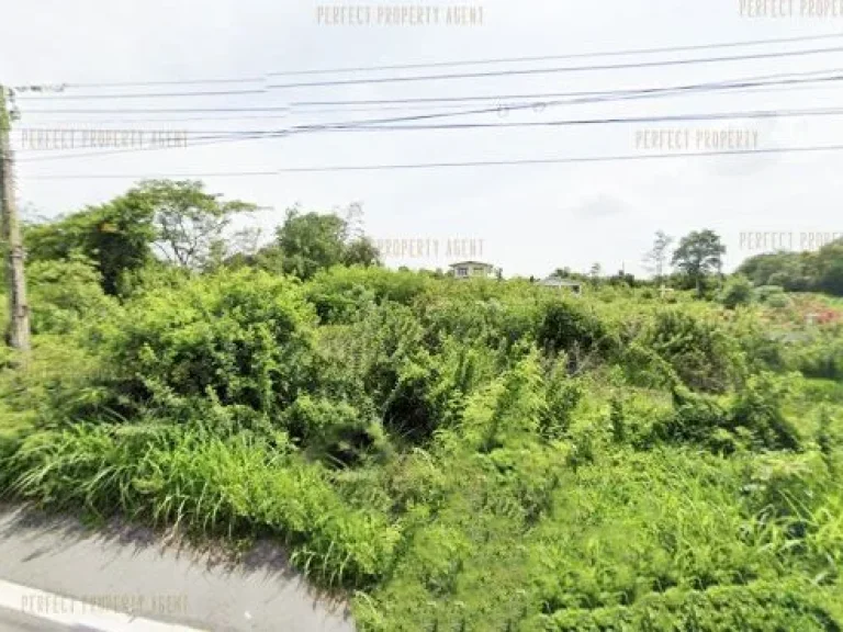 ที่ดินเปล่า พุทธมณฑล สาย 3 บางระมาด ตลิ่งชัน กรุงเทพมหานคร