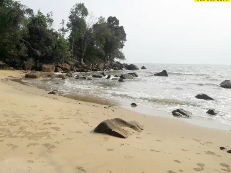 ขายที่ดินสวย ติดทะเล ตำบลหาดเล็ก อำเภอคลองใหญ่ จังหวัดตราด