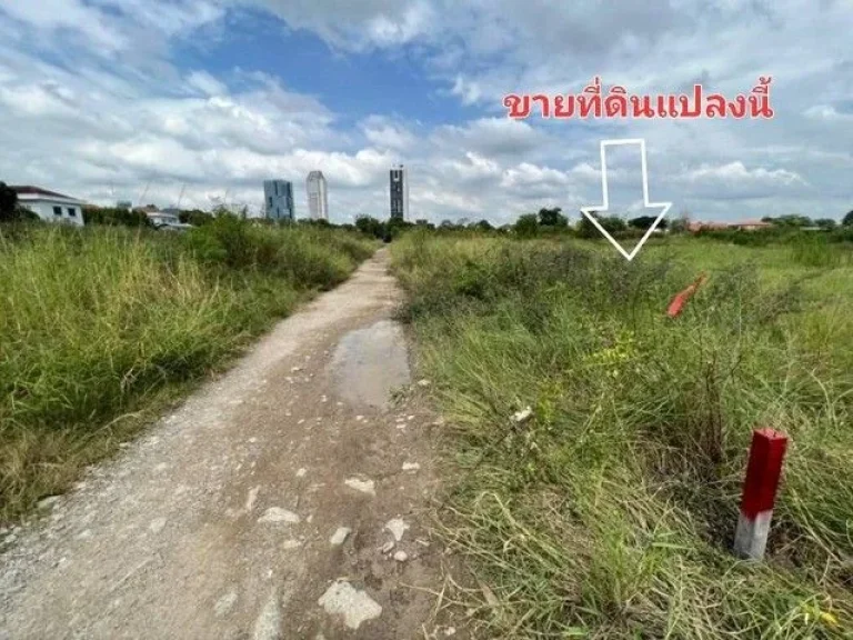 ขายที่ดิน 200 ตรว ซอยวัดปลัดเปรียง ถนนบางนาตราด ตบางแก้ว อบางพลี สมุทรปราการ ใกล้ห้างเมกะบางนา