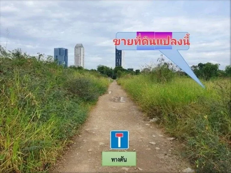 ขายที่ดิน 200 ตรว ซอยวัดปลัดเปรียง ถนนบางนาตราด ตบางแก้ว อบางพลี สมุทรปราการ ใกล้ห้างเมกะบางนา