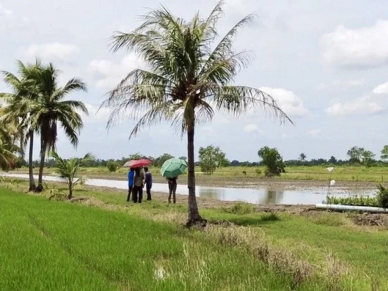 ขายที่ดินสวย บ้านสวนคลอง 23 องครักษ์ นครนายก ทำเลดีมาก บรรยากาศเยี่ยม