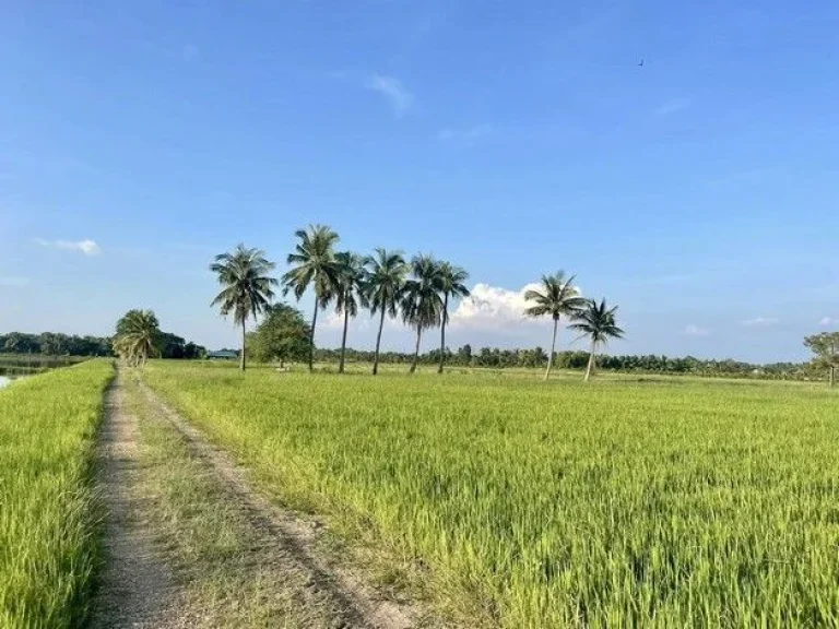 ขายที่ดินสวย บ้านสวนคลอง 23 องครักษ์ นครนายก ทำเลดีมาก บรรยากาศเยี่ยม