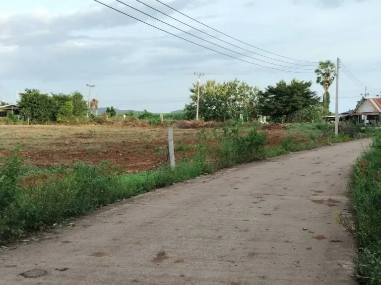 ที่ดิน 187 ไร่ ติดถนนคอนกรีต ใกล้อุทยานพระพุทธบาทหินดาด หนองประดู่ เลาขวัญ กาญจนบุรี