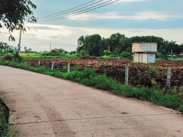 ที่ดิน 187 ไร่ ติดถนนคอนกรีต ใกล้อุทยานพระพุทธบาทหินดาด หนองประดู่ เลาขวัญ กาญจนบุรี