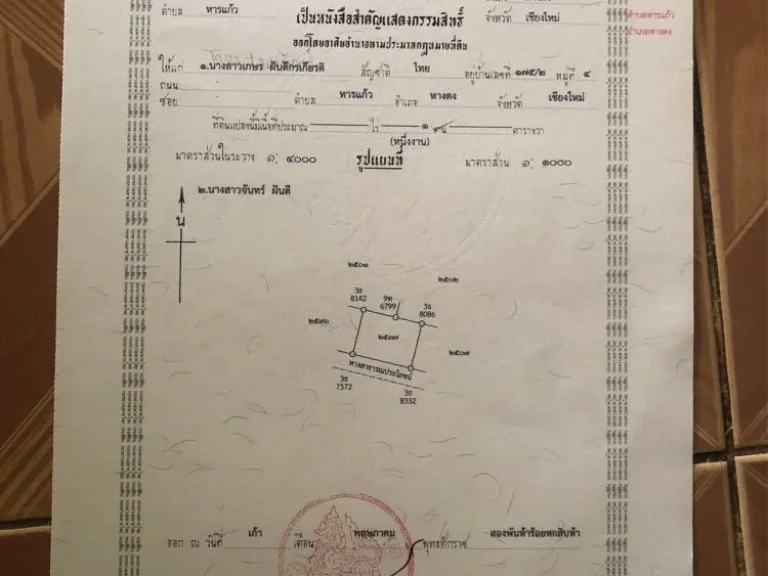 ที่ดิน ใกล้ 7-11 ใกล้ มหาวิทยาลัยนอร์ทเชียงใหม่ ราคาถูกกกกก