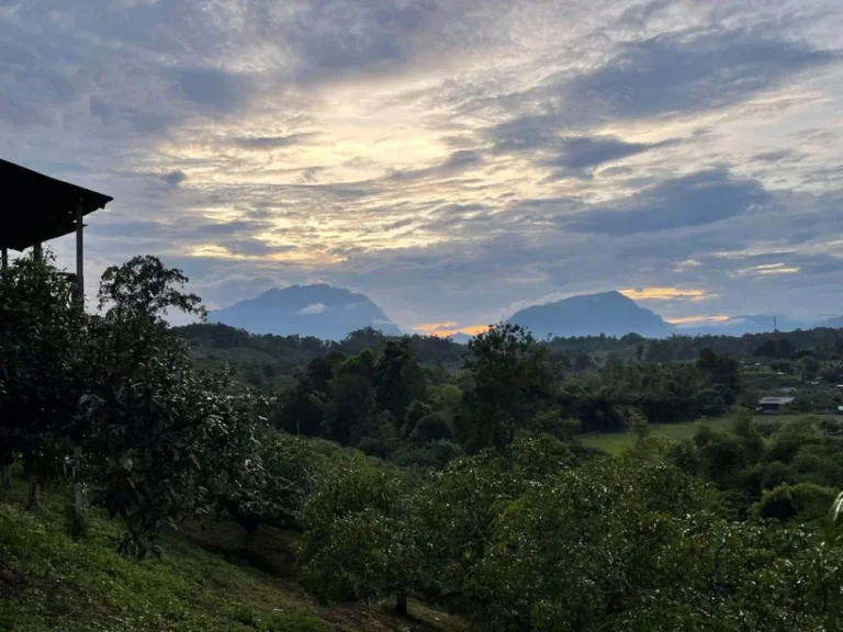 ที่ดินสวยเชียงดาว 39 ไร่ ตำบลปิงโค้ง อำเภอเชียงดาว จังหวัดเชียงใหม่ รับชมวิวพระอาทิตย์ตกบนยอดดอยหลวง