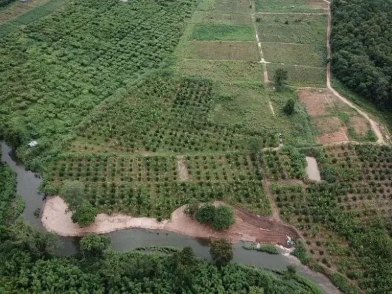 ที่ริมน้ำเหลือแปลงสุดท้าย ที่ดินริมน้ำห้วยแม่ประจันท์ หนองหญ้าปล้อง เพชรบุรี