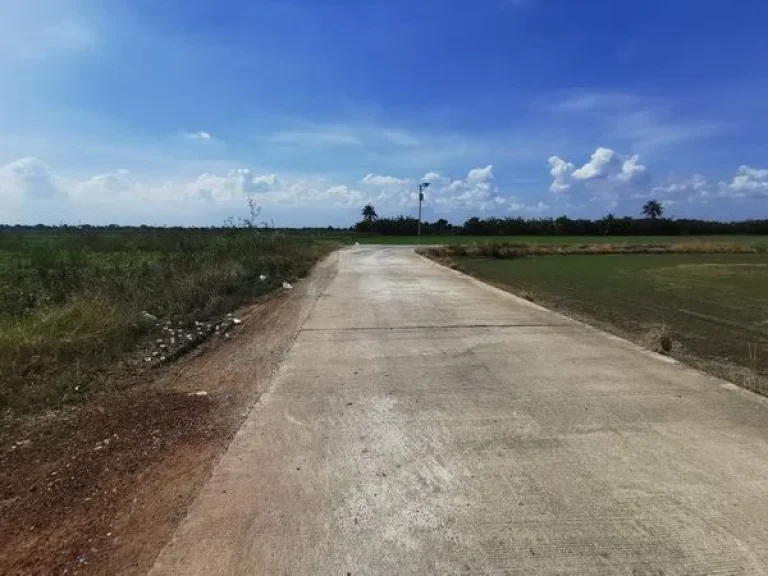 ขายที่ดิน เทศบาลเทพราช ถนนสุวินทวงศ์ อำเภอบ้านโพธิ์ ฉะเชิงเทรา