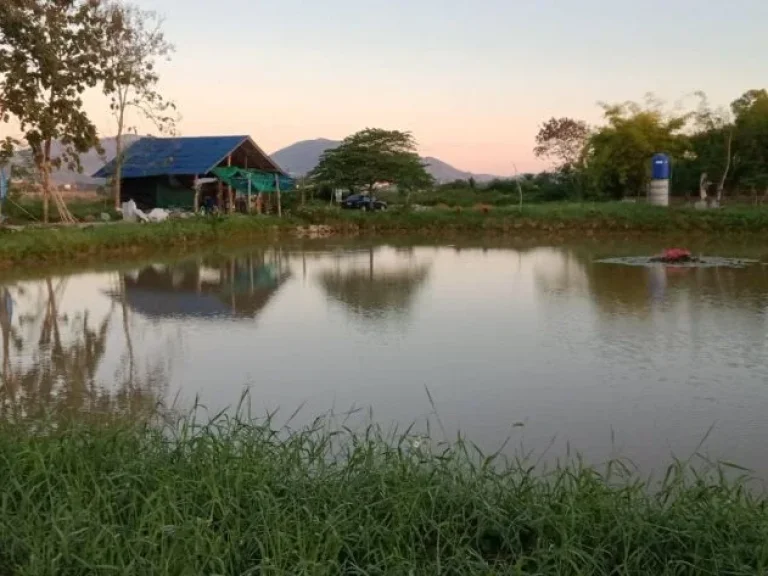 ประกาศขายที่ดิน ตำบลเวียงพางคำ อำเภอแม่สาย จังหวัดเชียงราย