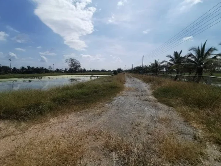 ขายที่ดิน เทศบาลเทพราช ถนนสุวินทวงศ์ อำเภอเมือง ฉะเชิงเทรา