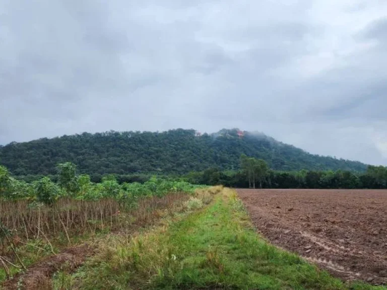 ขายที่ดิน 22 ไร่ ใกล้นิคมเกตเวย์ วิวเขาสุวรรณคีรี ทำโรงงาน หมู่บ้านจัดสรรได้ อแปลงยาว จฉะเชิงเทรา