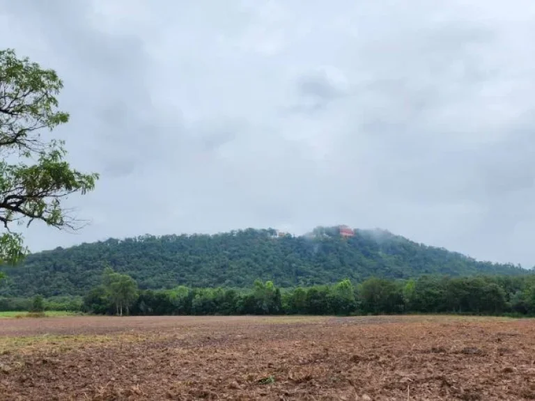 ขายที่ดิน 22 ไร่ ใกล้นิคมเกตเวย์ วิวเขาสุวรรณคีรี ทำโรงงาน หมู่บ้านจัดสรรได้ อแปลงยาว จฉะเชิงเทรา