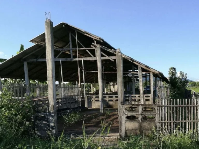 ที่ดิน พร้อม โรงเรือน สระน้ำ และ พื้นที่ทางการเกษตร ใน บ้านหลุก ต นาครัว อ แม่ทะ ลำปาง