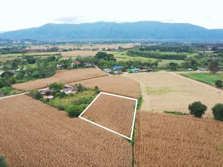 ขายที่ดินเขาใหญ่ เขาใหญ่ปากช่อง วิวภูเขามองเห็นทอสกาน่า บ้านคลองปูน