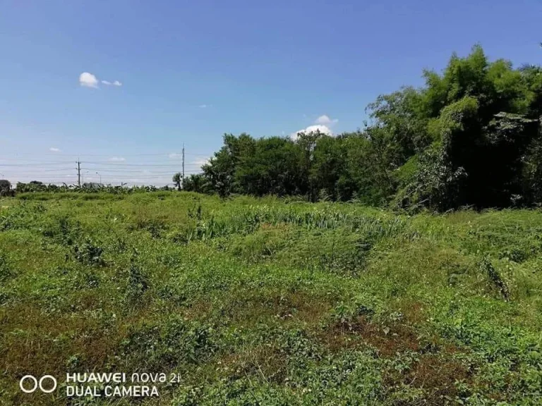 ขายที่ดินติดถนนราคาพิเศษ เจ้าของขายเอง อแม่ริม จเชียงใหม่