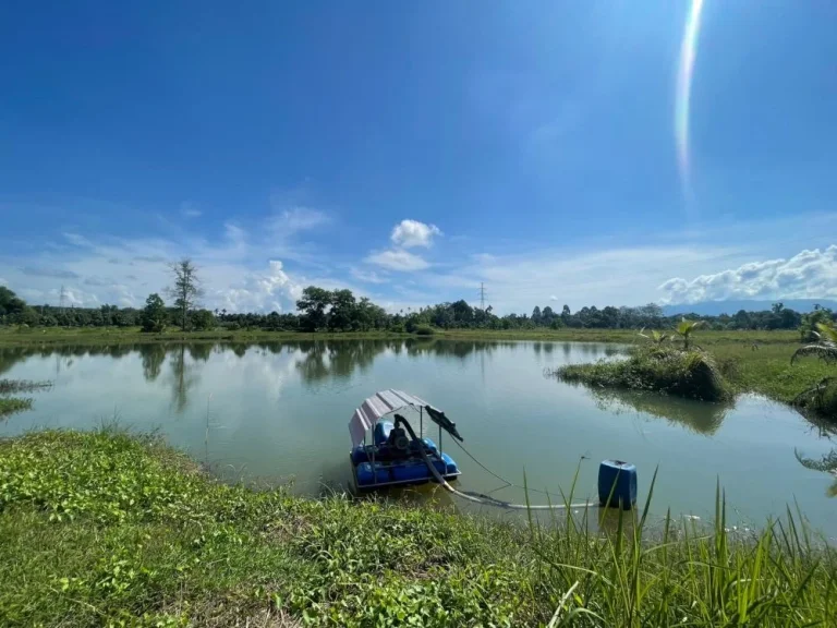 ขายด่วน ที่ดินสวนทุเรียนใกล้ถนนหลัก แสลง 8ไร่2งาน แค่9ล้าน ทำเลดี ราคาสวย