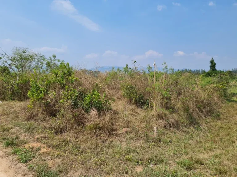 ขายที่ดินป่าละอู ตำบลห้วยสัตว์ใหญ่ อำเภอหัวหิน จังหวัดประจวบ