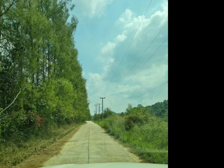 ขายที่ดินป่าละอู ตำบลห้วยสัตว์ใหญ่ อำเภอหัวหิน จังหวัดประจวบ