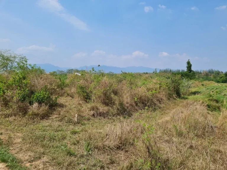 ขายที่ดินป่าละอู ตำบลห้วยสัตว์ใหญ่ อำเภอหัวหิน จังหวัดประจวบ