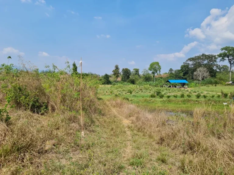 ขายที่ดินป่าละอู ตำบลห้วยสัตว์ใหญ่ อำเภอหัวหิน จังหวัดประจวบ