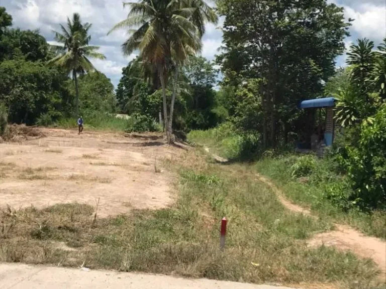 ขายที่ดินทำเลดีใกล้หาดชะอำ อำเภอท่ายาง จังหวัดเพชรบุรี