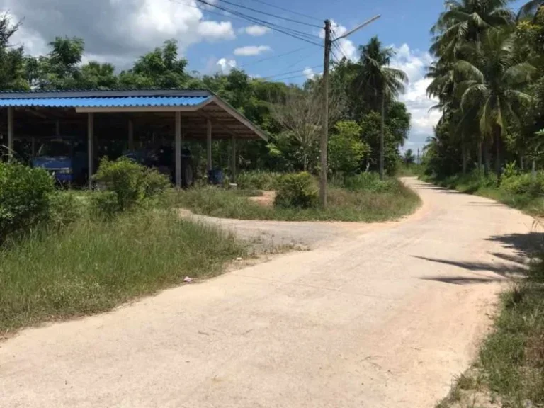 ขายที่ดินทำเลดีใกล้หาดชะอำ อำเภอท่ายาง จังหวัดเพชรบุรี