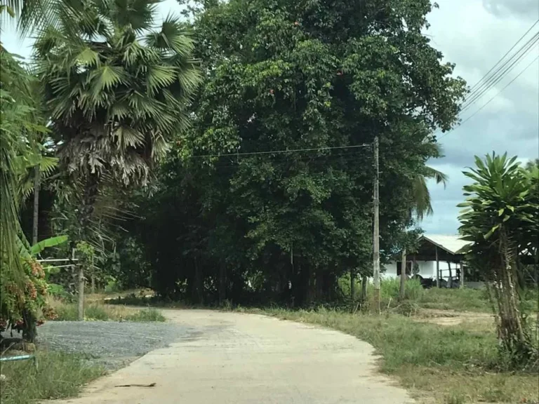 ขายที่ดินทำเลดีใกล้หาดชะอำ อำเภอท่ายาง จังหวัดเพชรบุรี