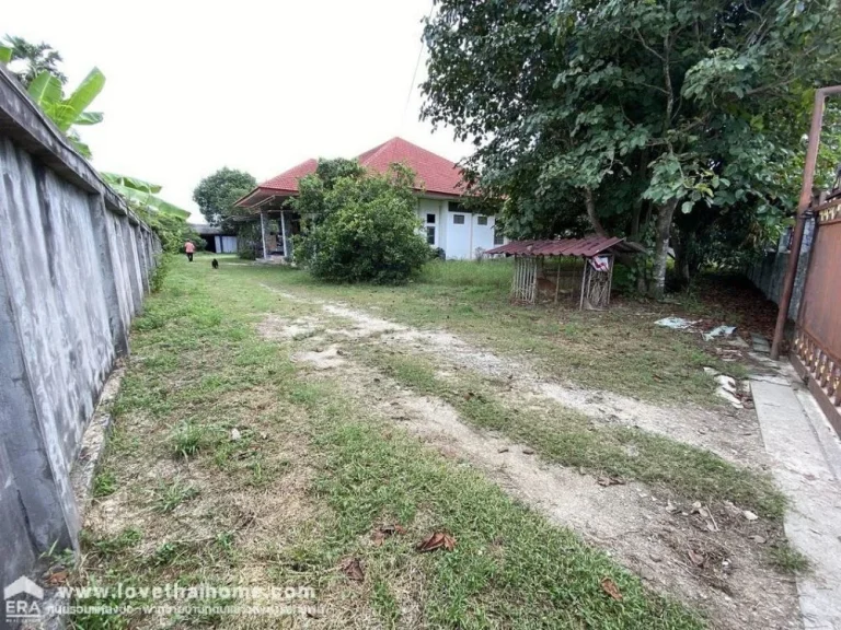 ขายที่ดินพร้อมสิ่งปลูกสร้าง ถนนสุขุมวิท ซอยมิตรสัมพันธ์18 อ่างศิลา ชลบุรี พื้นที่500ตรว รูปแปลงสวย ราคาถูก เหมาะลงทุน เปิดกิจการได้ ใกล้หาดบางแสน