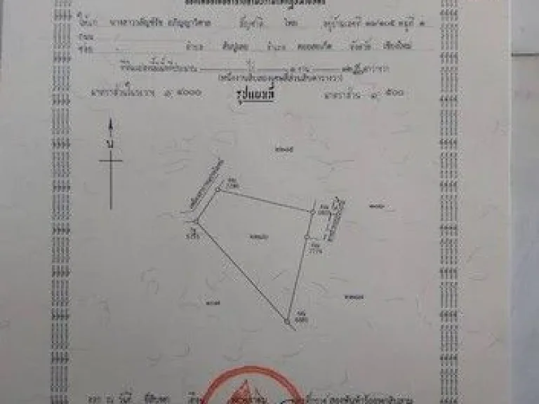 ขายที่ดินถมแล้ว 3 แปลง ติดถนนโซนโรงเรียนนานาชาติ เชียงราย