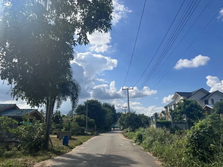 ที่ดินโฉนด วิวภูเขากระทิงเด่น สวยมากๆๆ ติดถนนลาดยาง แหล่งชุมชน