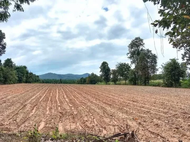 ที่ดินแปลงสวย วิวสวย ถนนลาดยาง น้ำไฟผ่าน ราคาไม่ถึงแสนต่อไร่ อุตรดิตถ์