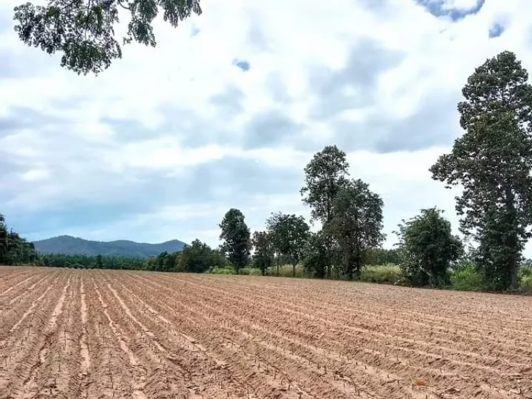 ที่ดินแปลงสวย วิวสวย ถนนลาดยาง น้ำไฟผ่าน ราคาไม่ถึงแสนต่อไร่ อุตรดิตถ์