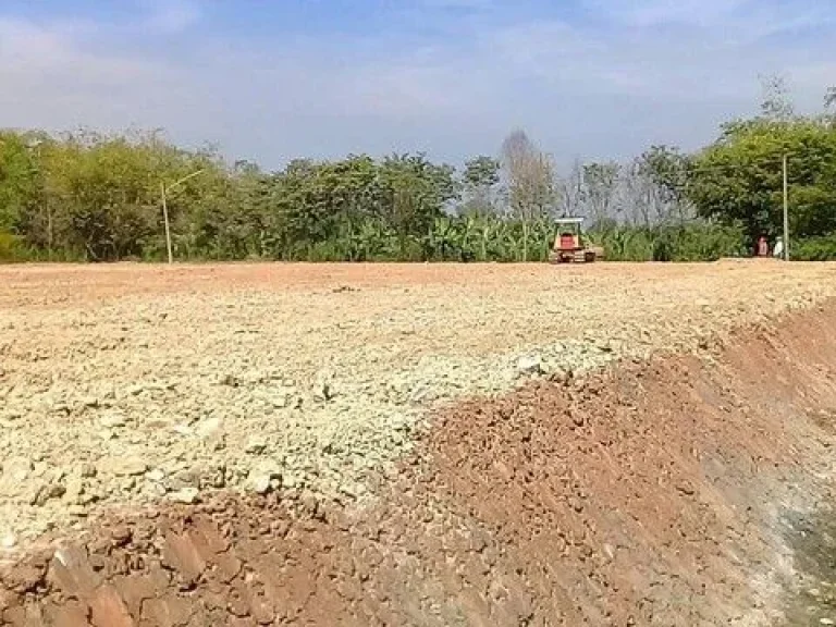 ขายด่วน ที่ดินปทุมธานี ที่ดินสวยมากๆถมเรียบร้อยแล้ว ถมบดอัดอย่างดีพร้อมปลูกบ้าน โกดังได้เลย