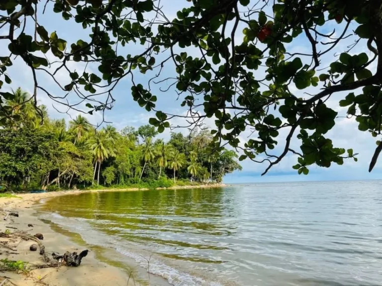 ที่ดินสวย ติดชายหาด น้ำไฟพร้อม โฉนดครุฑแดงแท้ หลังสวน ชุมพร